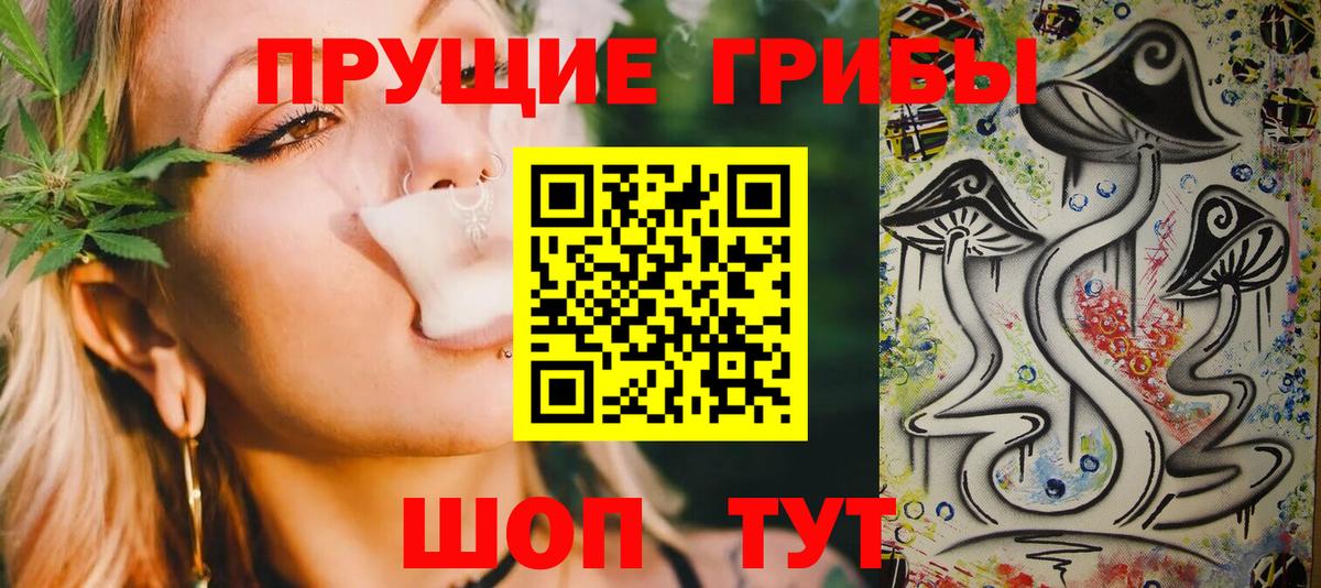 Биробиджан  Псилоцибиновые грибы Cubensis  Вход с VPN 